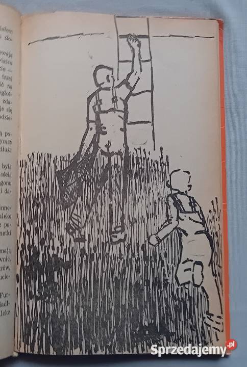 Zbigniew Nienacki Pan Samochodzik i Fantomas Wyd wielkopolskie Koźminek