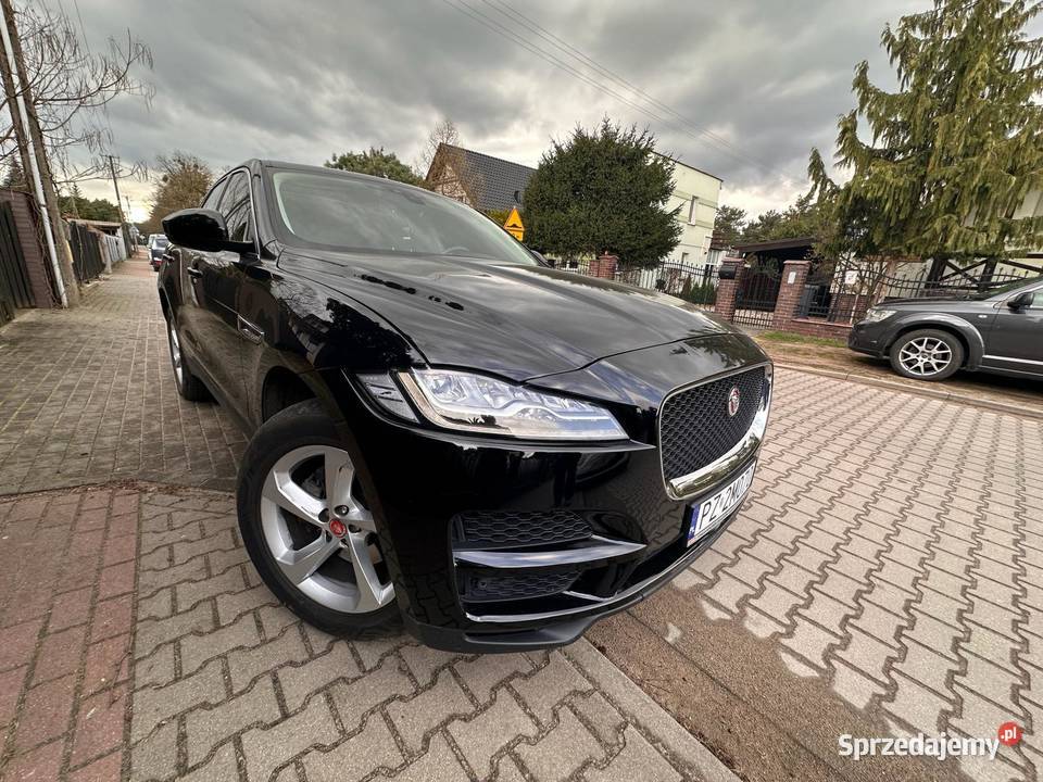 Piękny Jaguar F Pace F-Pace Poznań