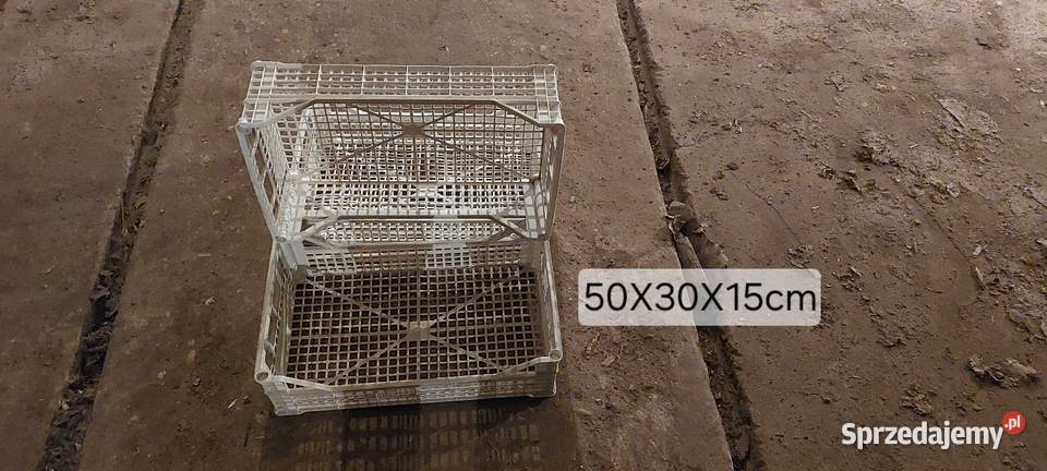 Skrzynki plastikowe 60x40x20 10 Czempiń