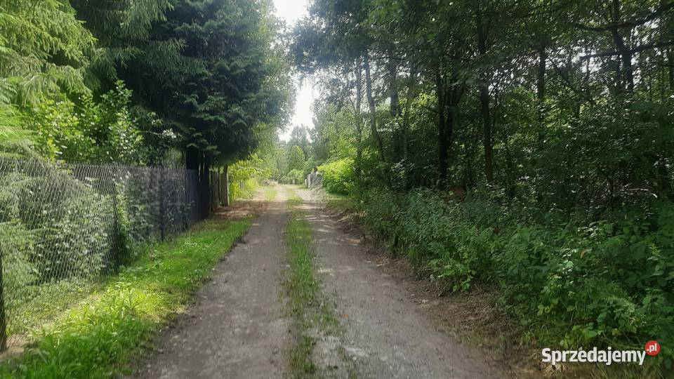 Działki z ostateczną decyzją o warunkach Rokitnica