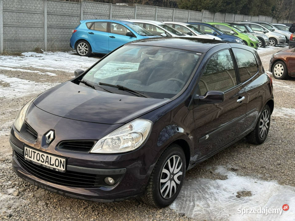 Renault Clio fioletowy Częstochowa