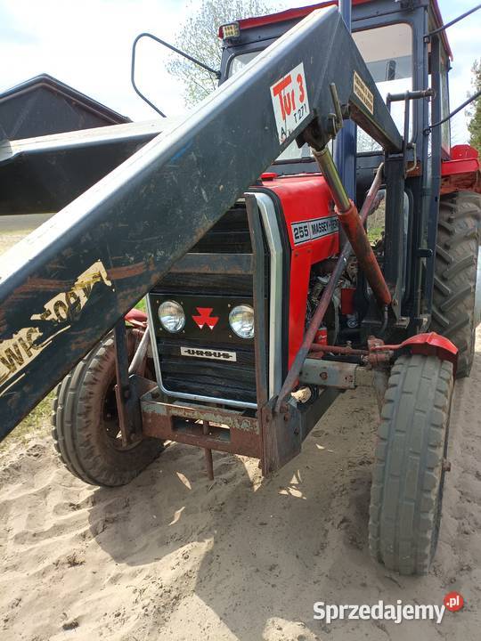 Sprzedam ciągnik rolniczy MF255 Rychwał