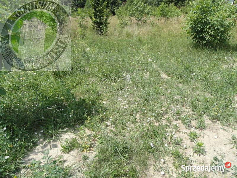 Grunt Dąbrowa 1000m2 Sprzedaż
