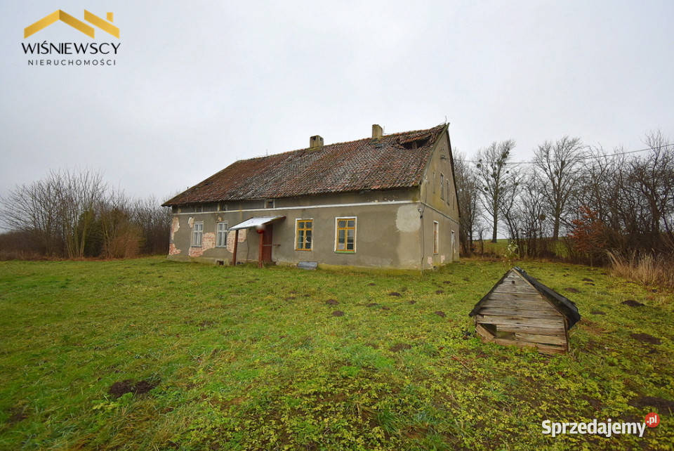 Siedlisko 9400m2 dom dwa budynki gospodarcze Głotowo sprzedam
