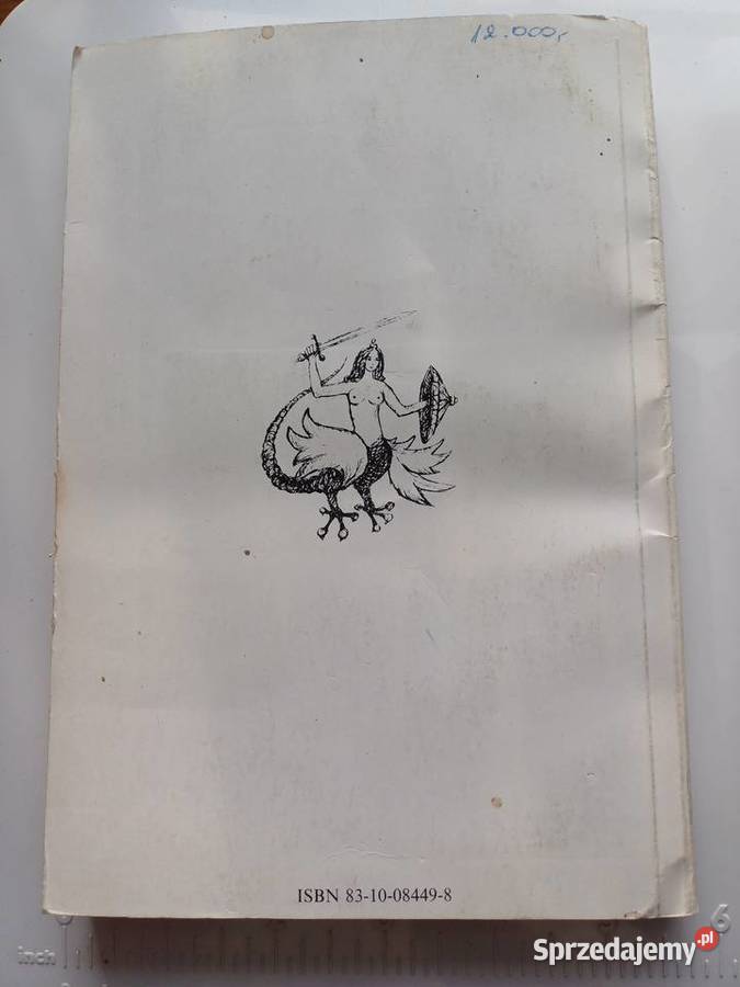 Szwedzi w Warszawie Walery Przyborowski