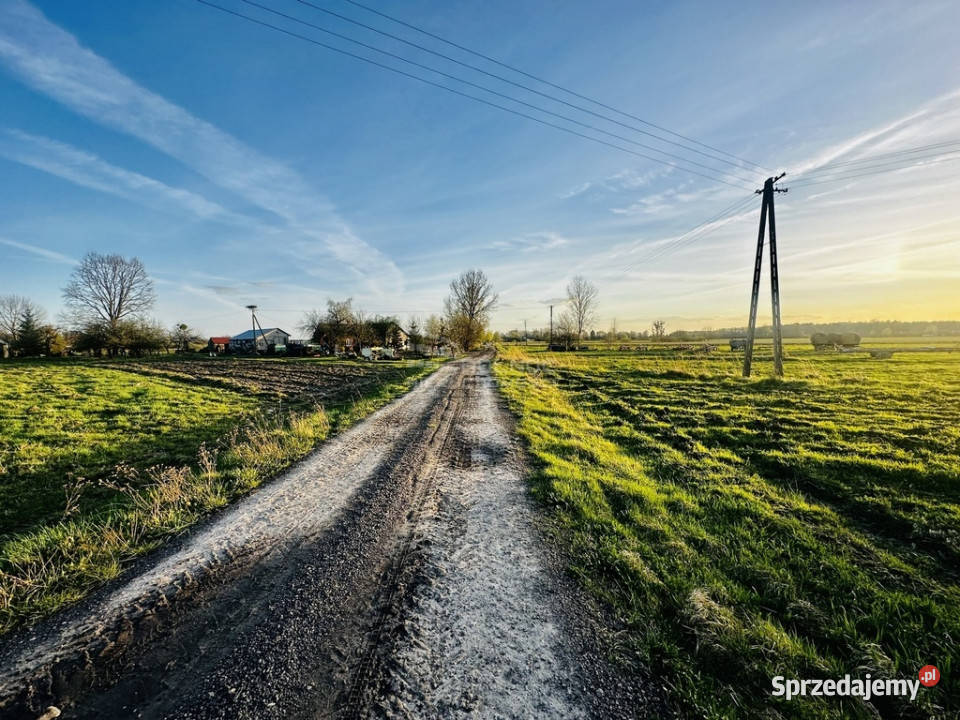 Działka rolnibudowlana 295h Żalin gm RudaHuta utwardzona sprzedam