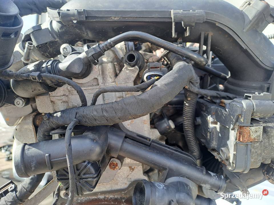 Skoda Rapid 12 TSi 86 kod CBZCBZACBZG kompletny Jastrzębie-Zdrój sprzedam