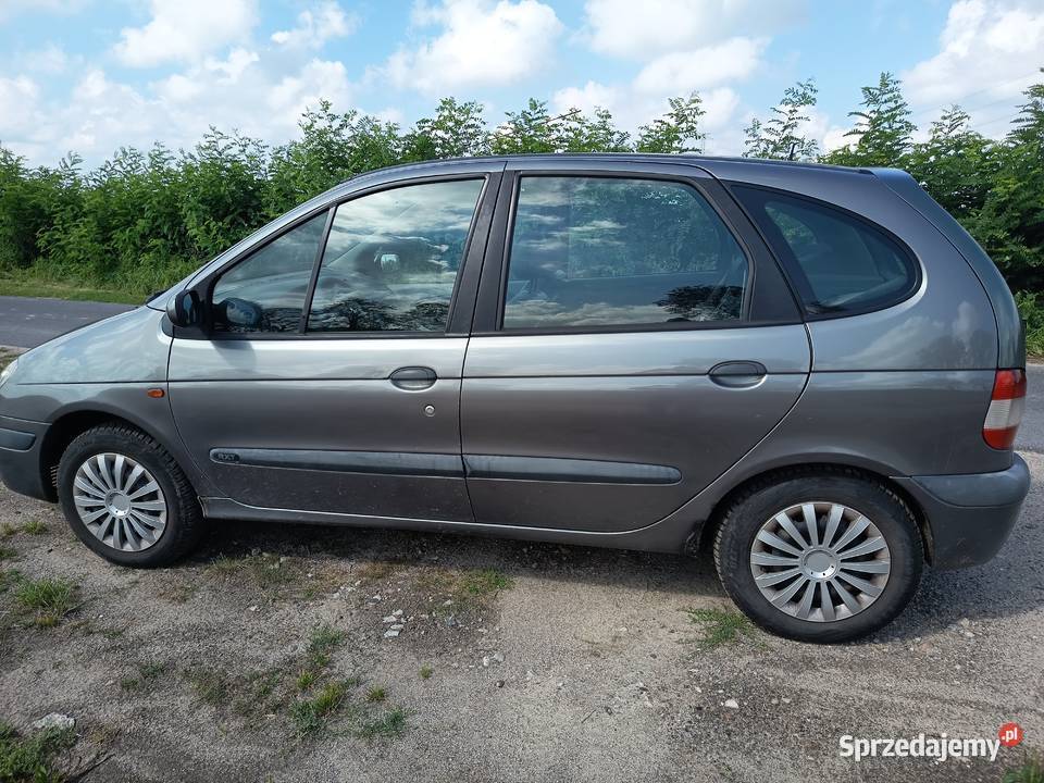 Renault scenik Lwówek