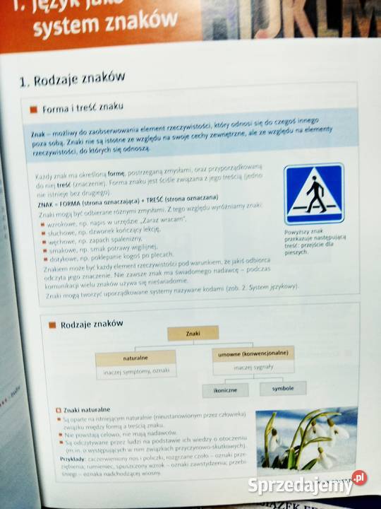 Repetytorium maturalne polski WSiP antykwariat Antyki, Sztuka, Kolekcje mazowieckie Warszawa