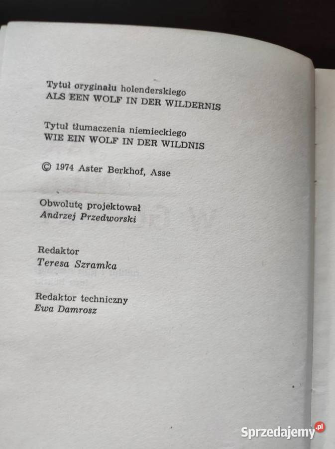 wilk w głuszy Aster Berkhof Kielce sprzedam