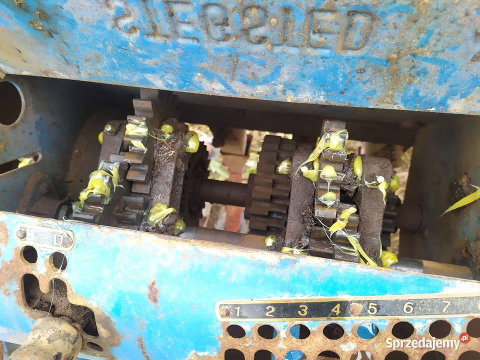 Siewnik Stegsted 25m Pacanów