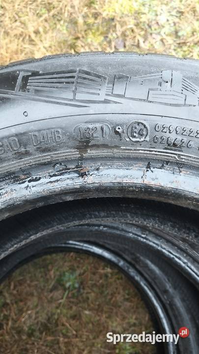 Opony wielosezonowe 1560185 Tarło-Kolonia