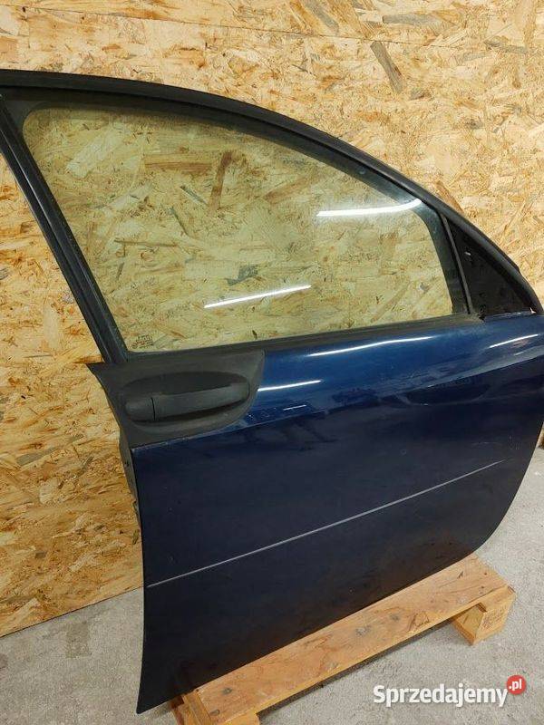 Drzwi Prawy Przód Smart 454 osobowe Pleszew