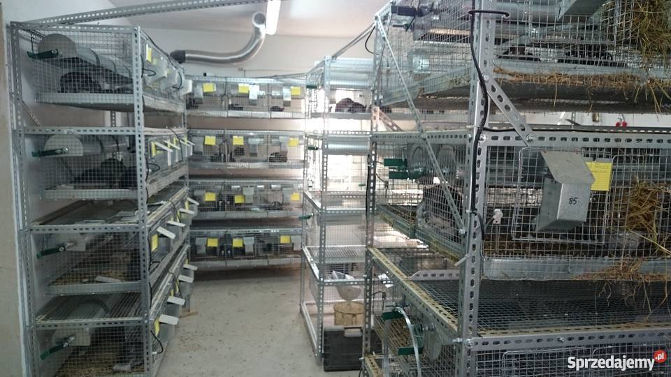 SOLIDNE REGAŁY MAGAZYNOWE 2000x990x500 Kozienice