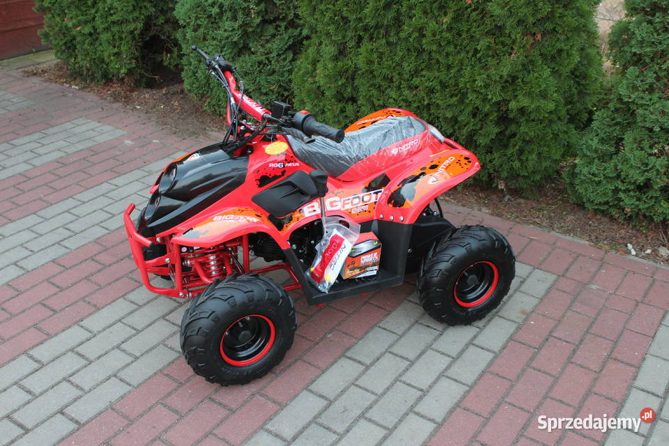 Quad 110 cc 125 KXD dzieci Nitro Motors średni Goleniów