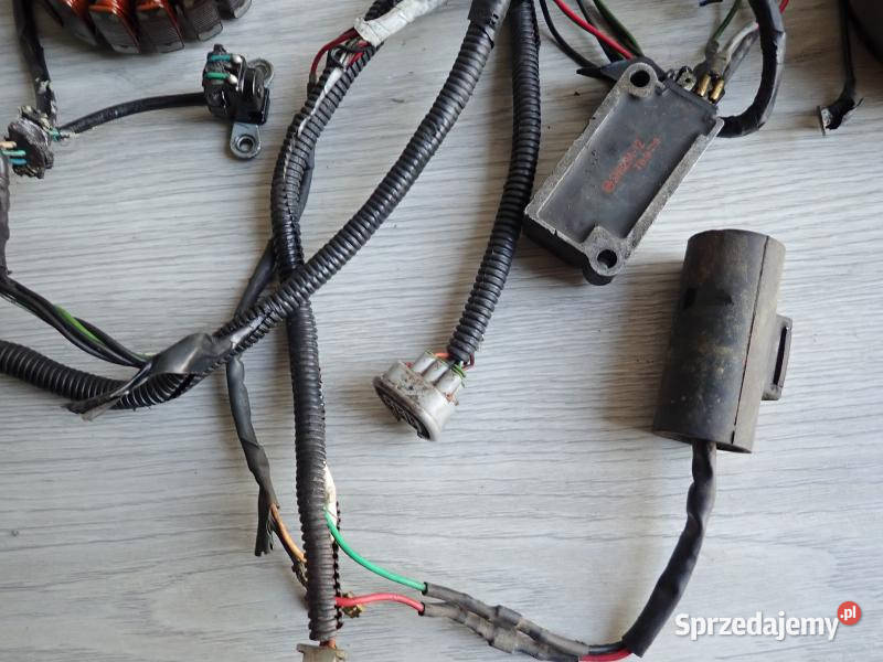 Alternator Impulsator Magneto LMZ89 Stator Strzelce Krajeńskie