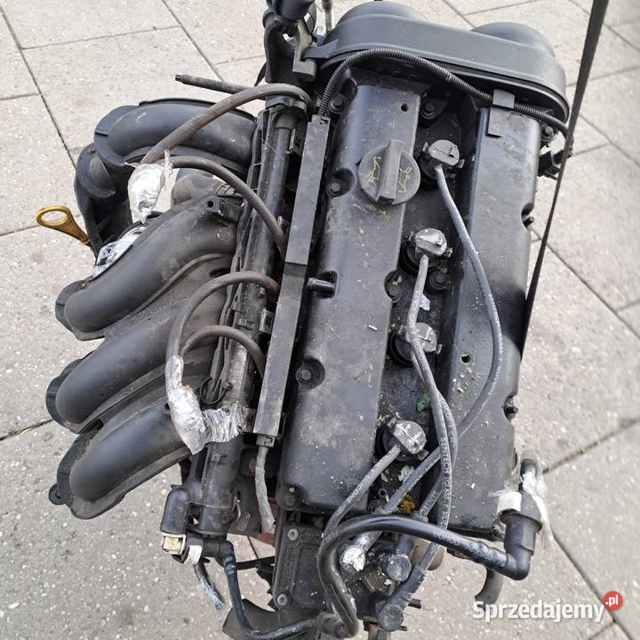 Ford Fokus MK2 C 16 16v silnik kompletny kod Jastrzębie-Zdrój