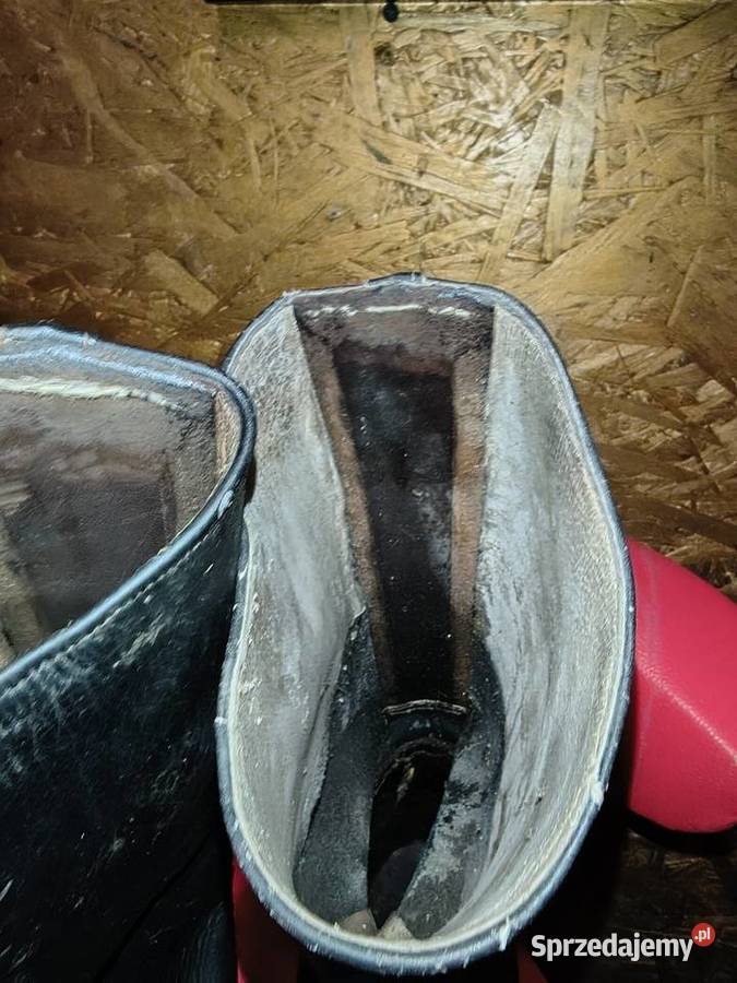 Oficerki z II WŚ Suwałki