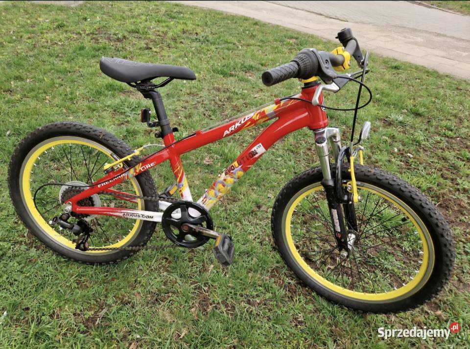 Rower Arkus Evolution Piła