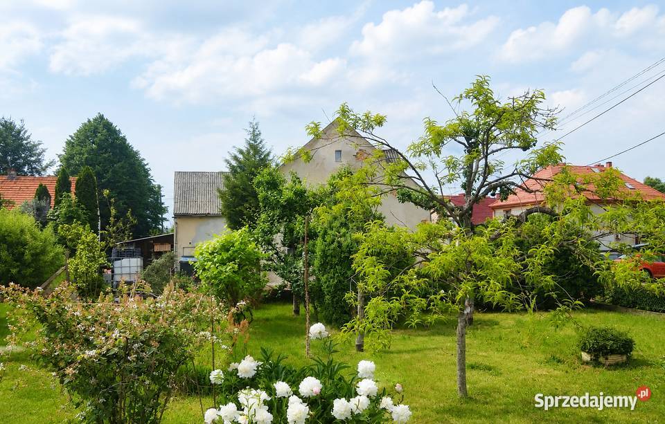 Sprzedam dom Przeworno Strzelin siatka