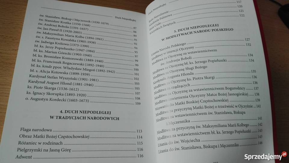 Duch Niepodległej gdański przewodnik Książki naukowe i popularnonaukowe Gdańsk