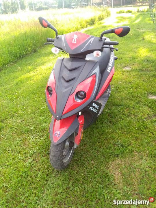 Sprzedam Kingway Purga 50 50cm3 Kingway Bąkowice