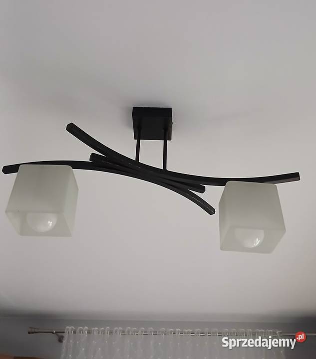 Sprzedam żylandory 2 sztuki świętokrzyskie Kurzacze