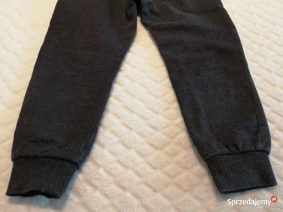 Spodnie dresowe miś polarny 104 Little kids Czeladź