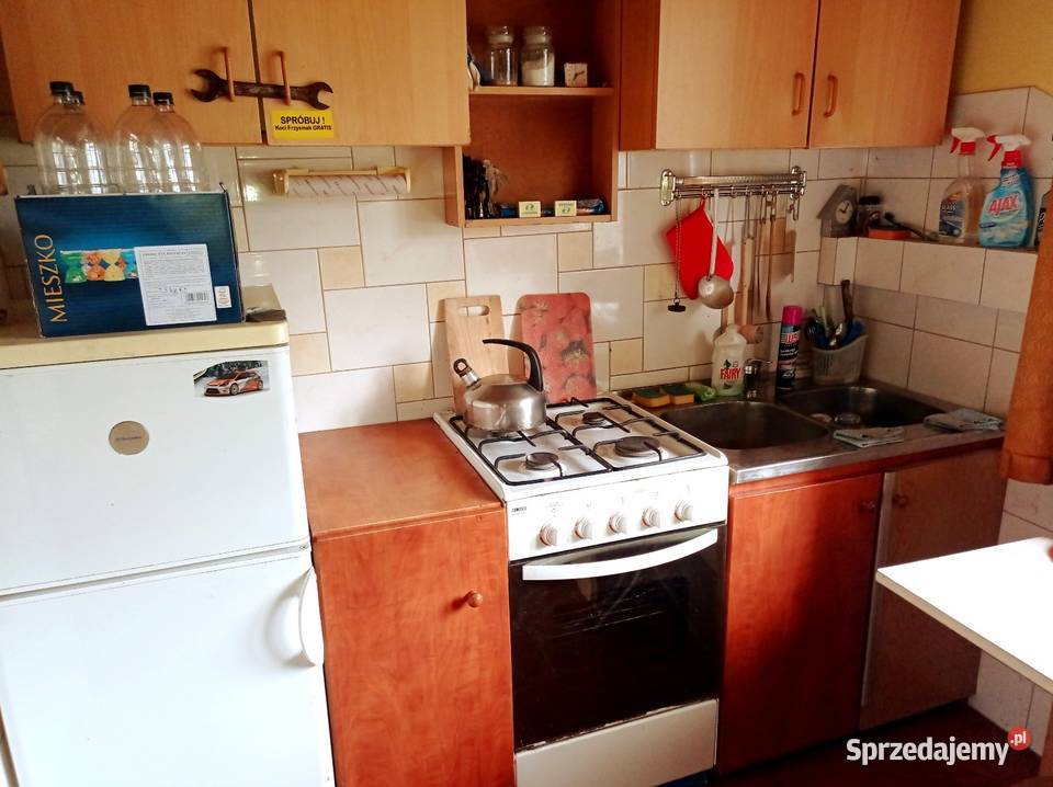 DWA DOMY NA WSI CAŁOROCZNE POD LASEM OKAZJA Chynów