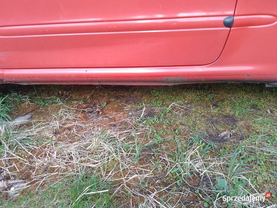 Seicento 11 opłaty aktualne Motoryzacja Czarnków