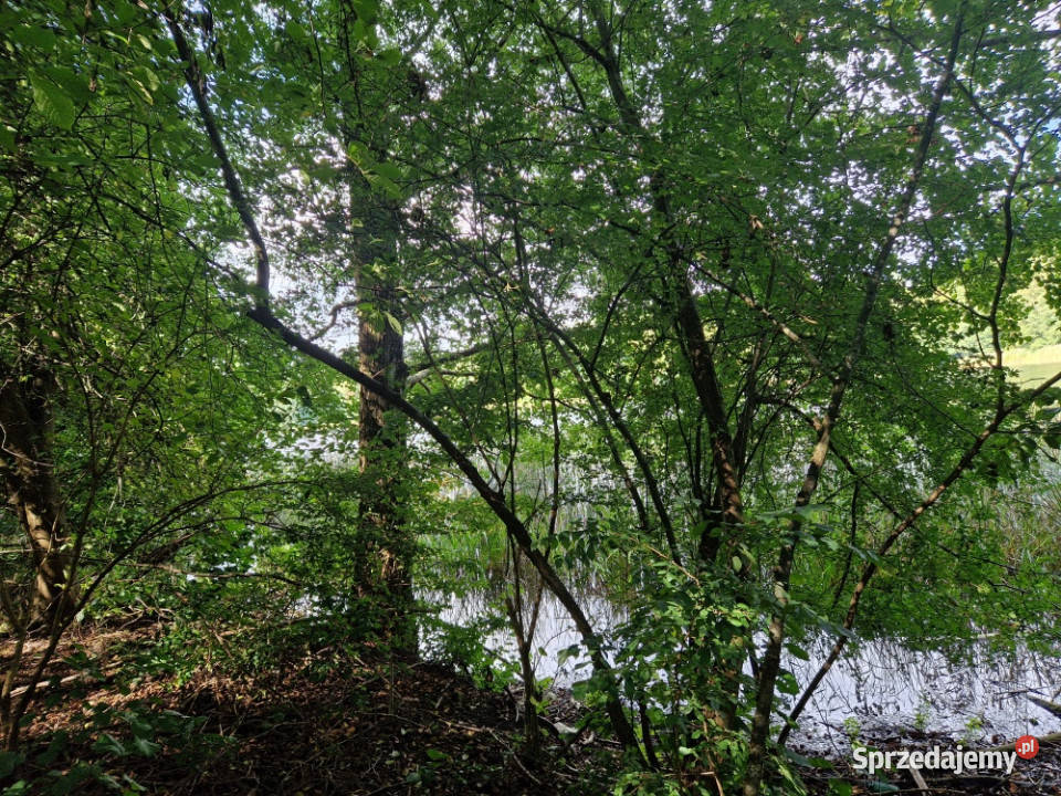 działka rekreacyjna jeziorem Sprzedaż sprzedam