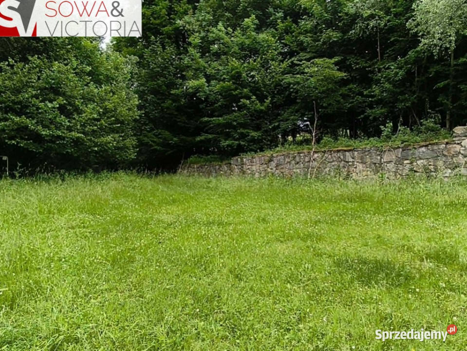 Dom bez sąsiedztwa działka 9300 m 2