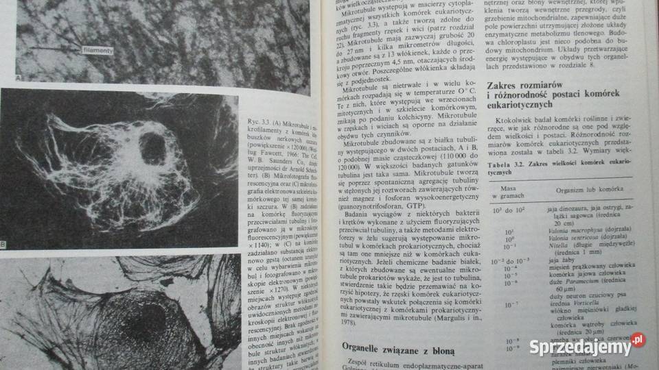 Fizjologia komórki Giese biologia komórka Łódź
