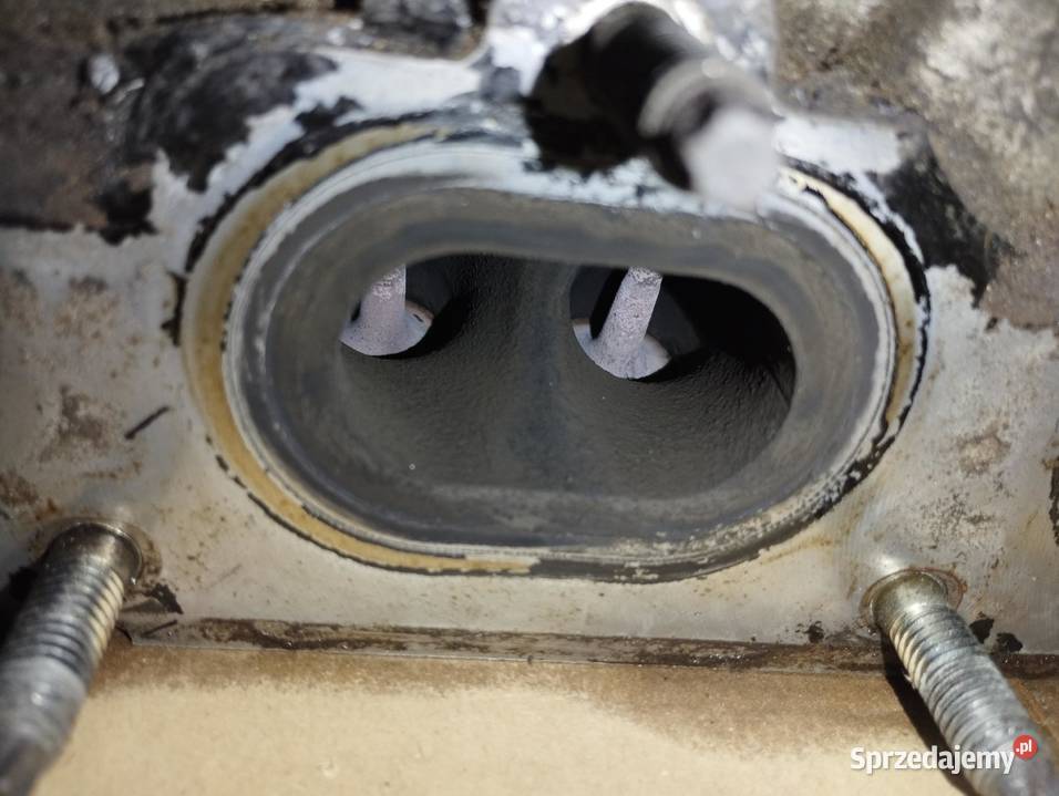 Głowa 55559340 A16XER Chevrolet Opel osobowe Zakopane