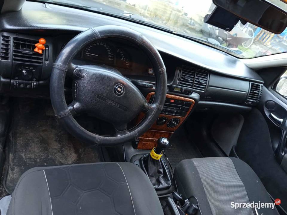 Opel Vectra B 18 125 lift 2000r Rok produkcji 2000 świętokrzyskie Busko-Zdrój