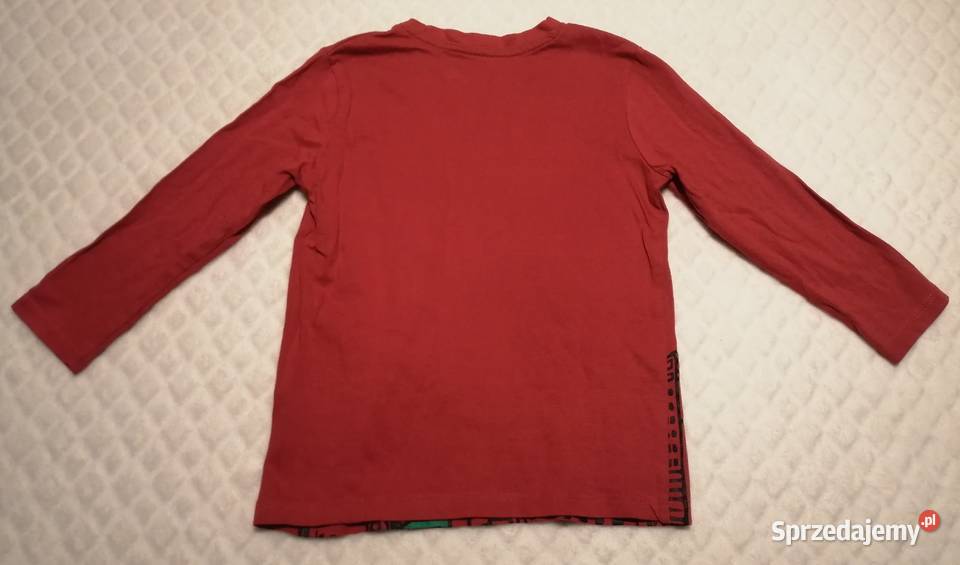 Koszulka chłopięca długi rękaw 104 Skate Pieski Rozmiar 104 Czeladź sprzedam