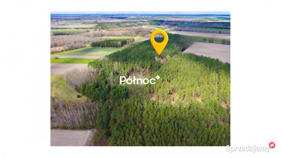 Działka leśna 447 Ha w Elżbiecinie gmina Kodeń Elżbiecin