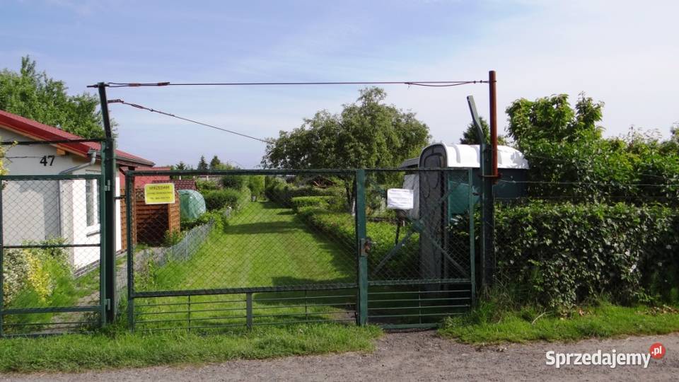 Działka ROD Piła 448m2 w centrum Zbycie prawa