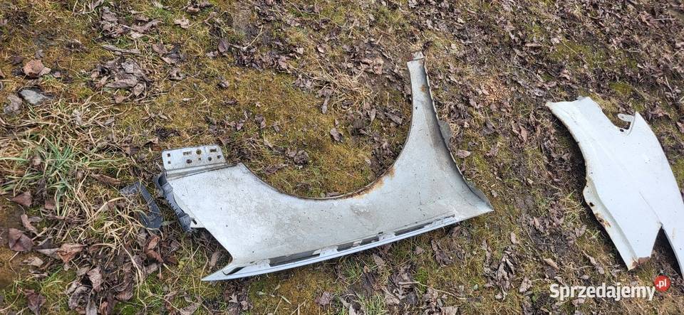 Błotnik Lewy Passat B6 LA7W osobowe sprzedam