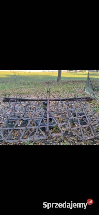 Brony nieuszkodzony Uchanie