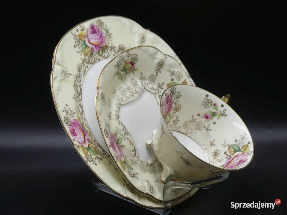 Zjawiskowe różane trio Tułowice Tillowitz 1928 Poznań