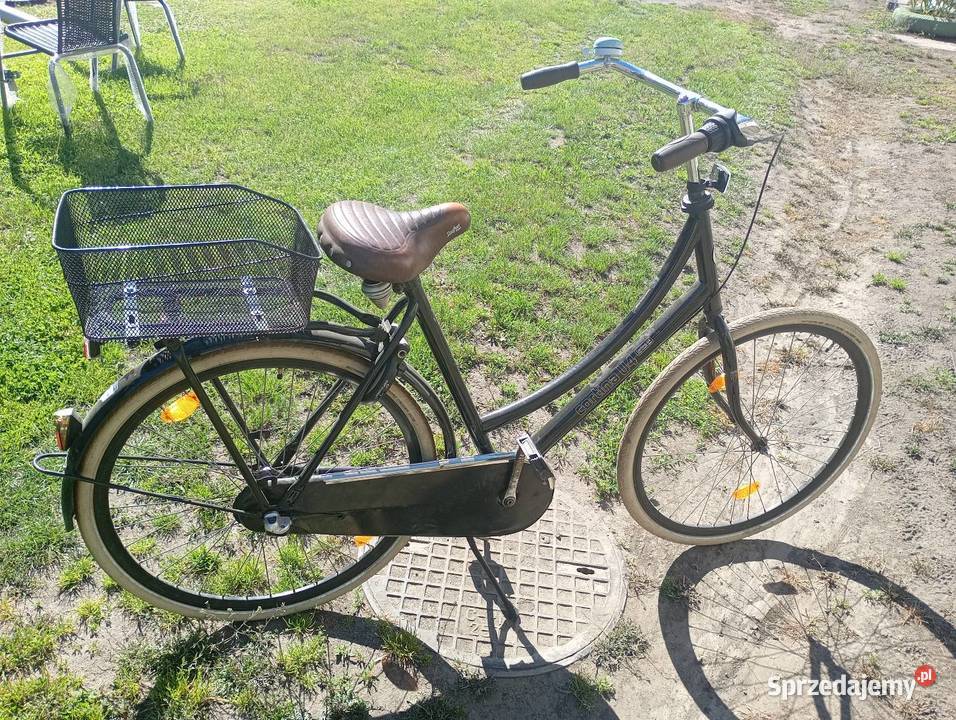 Rower damski Holandii Grodków