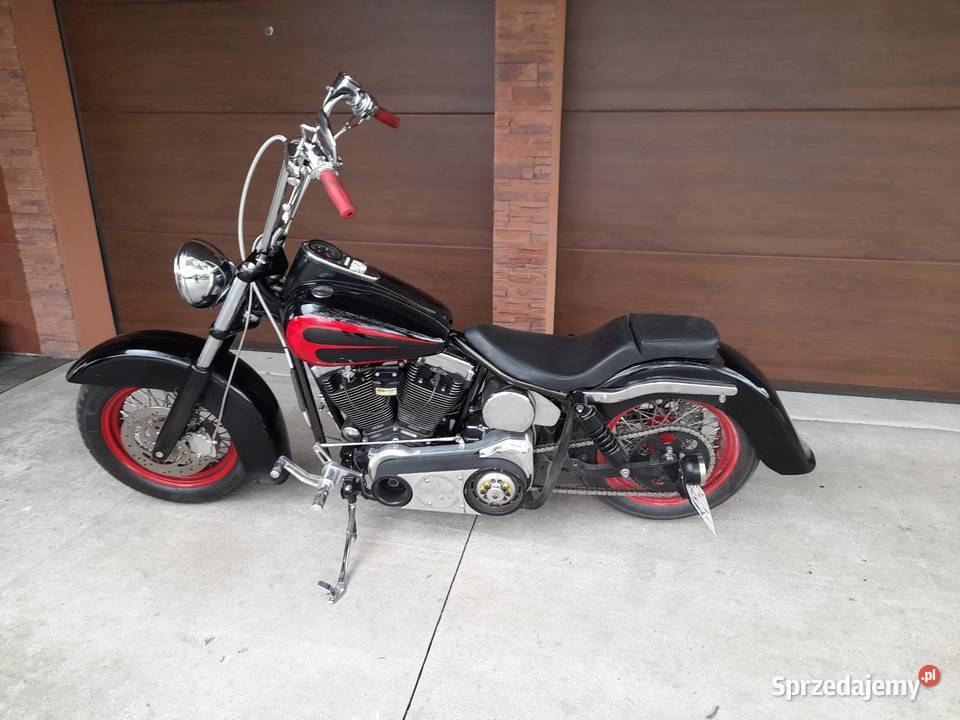 Sucker Lunch Sally Springer 1200km Jarosław