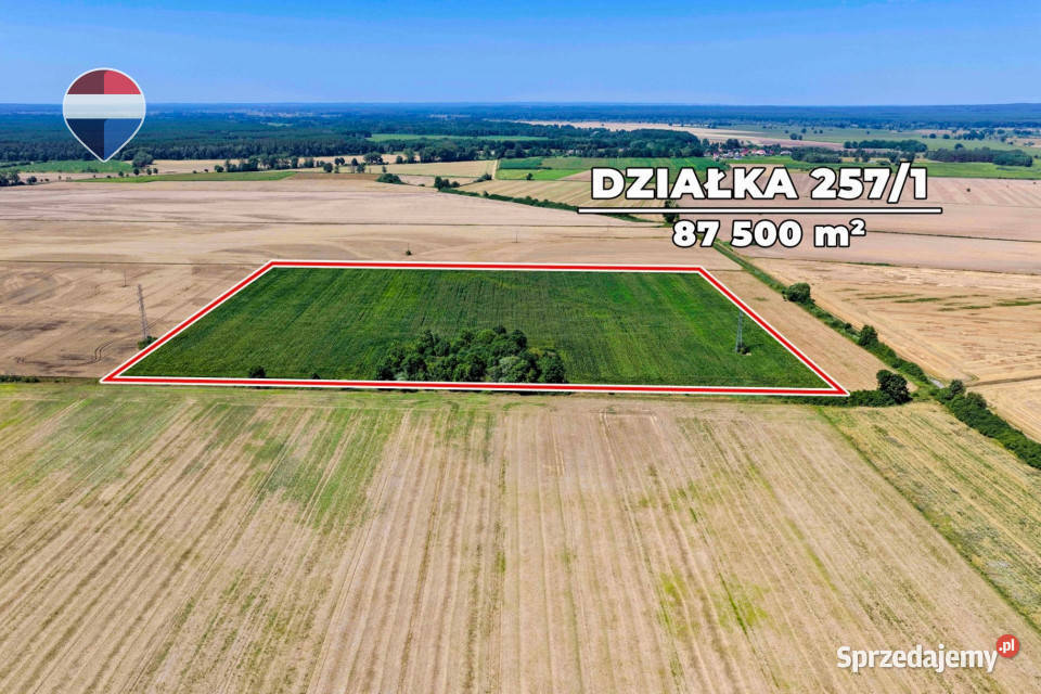 Na sprzedaż grunty orne RIIIa 875 ha sprzedam