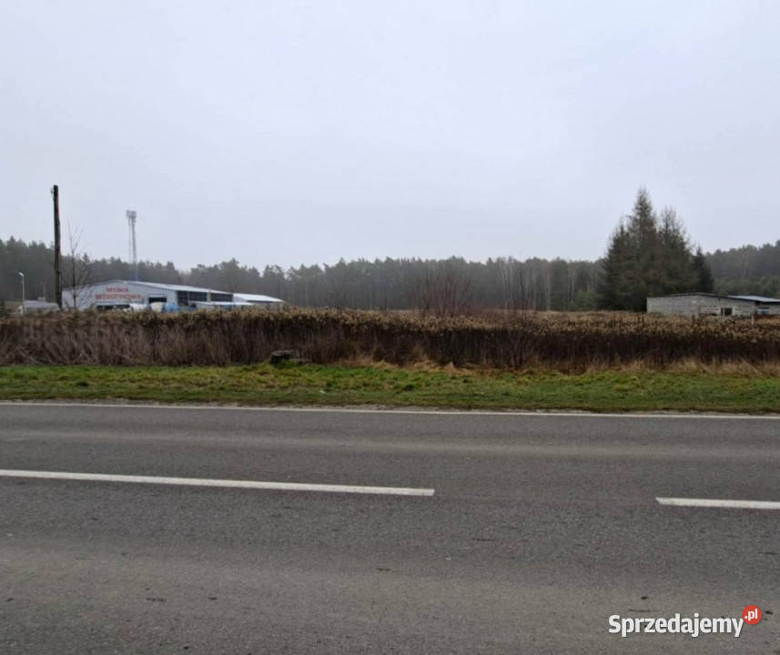 Grunt 1824m2 Głusko DużeKolonia budowlana Głusko Duże-Kolonia sprzedam