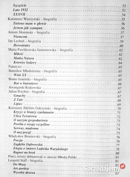 Mega Bryk Język polski 6 Dwudziestolecie Chełm