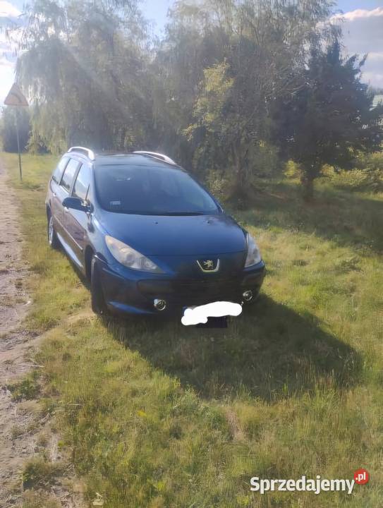 Sprzedam samochód Peugeot 307 nieuszkodzony