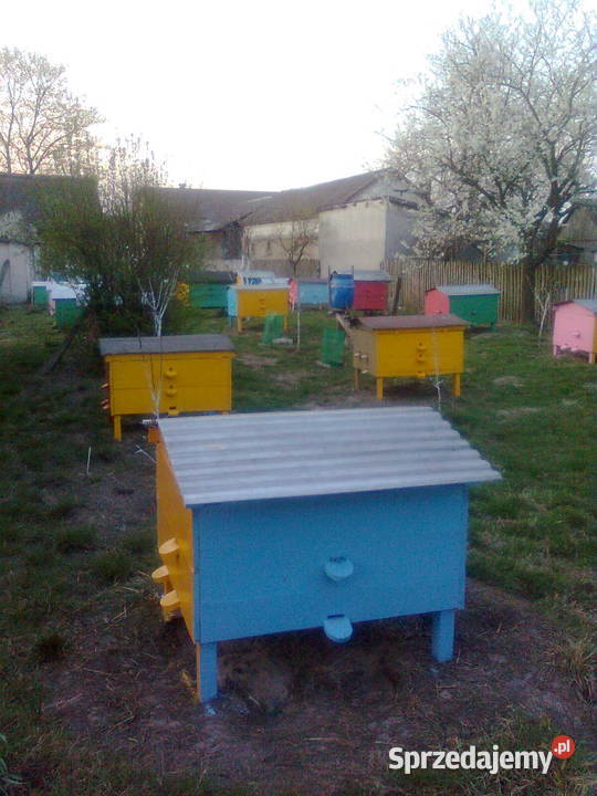 sprzedam Antoniówka