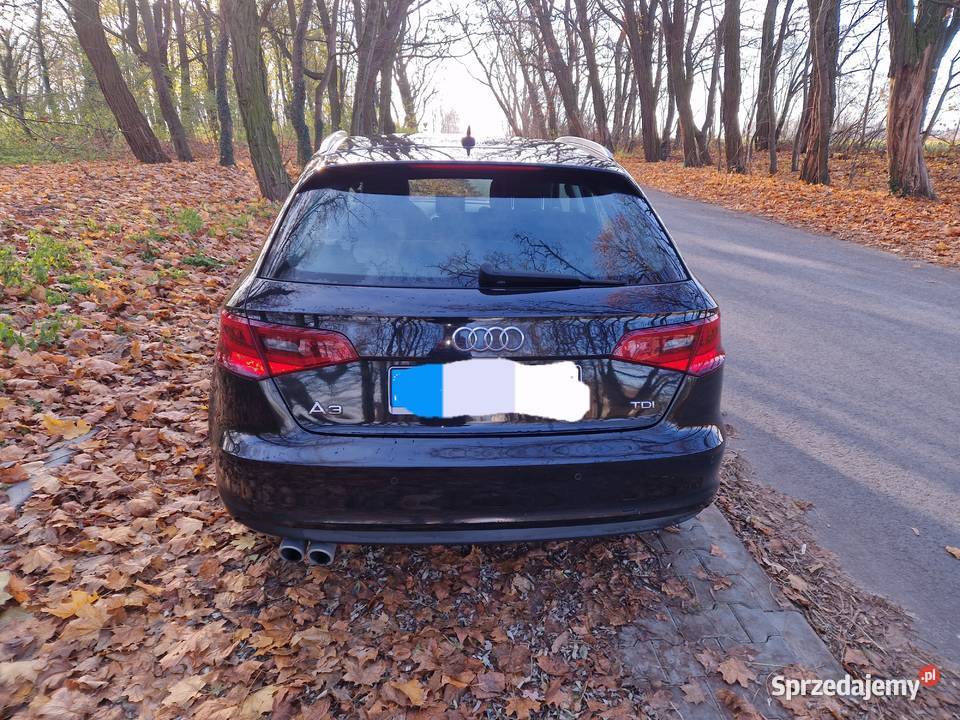 AUDI A3 diesel Zgierz