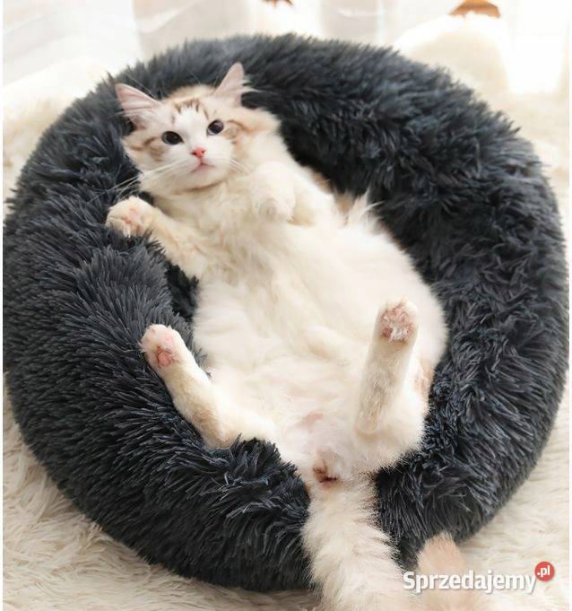 Legowisko psa kota włochate puszyste poduszka Pozostałe Myszyniec